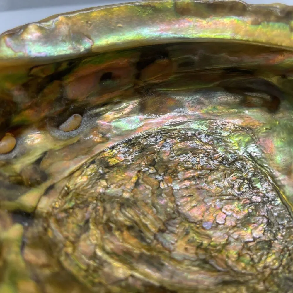 Vintage Iridescent Abalone Shell Trinket Candy Dish Footed Bowl Natural Decor